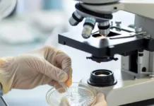 Investigación argentina avanza hacia el primer tratamiento para el Síndrome Urémico Hemolítico.