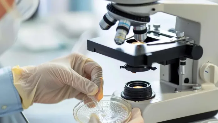 Investigación argentina avanza hacia el primer tratamiento para el Síndrome Urémico Hemolítico. Investigación argentina avanza hacia el primer tratamiento para el Síndrome Urémico Hemolítico.