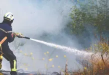 Alerta Roja en Lampa: incendio forestal amenaza la seguridad de la zona.