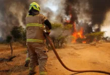 Alerta Roja: Incendio en Lampa y Tiltil arrasa 200 hectáreas de bosque.