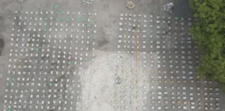 Carabineros incauta más de 2 mil kilos de marihuana en Antofagasta.