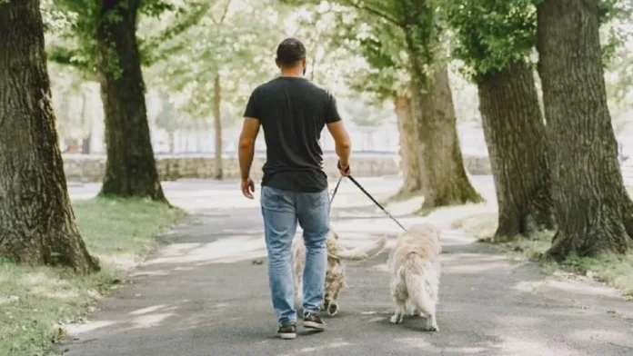 Tragedia en EEUU: Un hombre pierde la vida tras ser atacado por sus tres perros. Tragedia en EEUU: Un hombre pierde la vida tras ser atacado por sus tres perros.