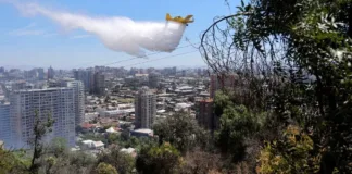 Controlan incendio en Cerro San Cristóbal; Parque Metropolitano sigue cerrado.