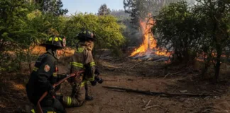 Alerta Roja en Limache: evacuación ordenada por incendio forestal en sector habitado.