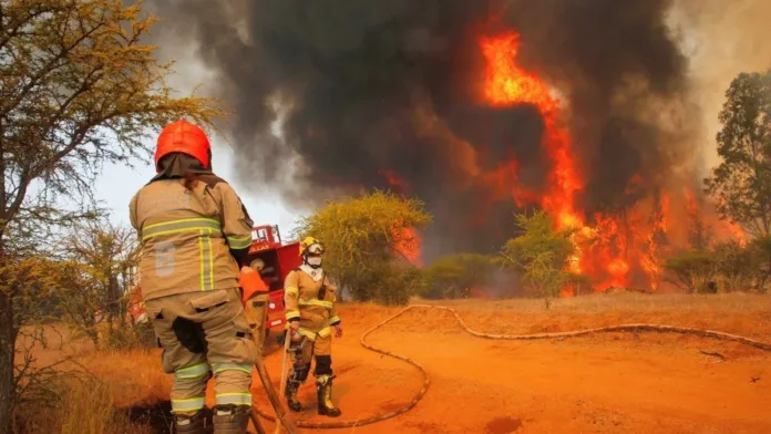 Alerta Roja en Vichuquén: Conaf y Bomberos combaten incendio forestal. Alerta Roja en Vichuquén: Conaf y Bomberos combaten incendio forestal.