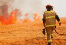 Alerta Amarilla en Chacabuco: 285 hectáreas afectadas por incendio forestal.