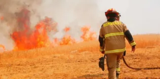 Alerta Amarilla en Chacabuco: 285 hectáreas afectadas por incendio forestal.