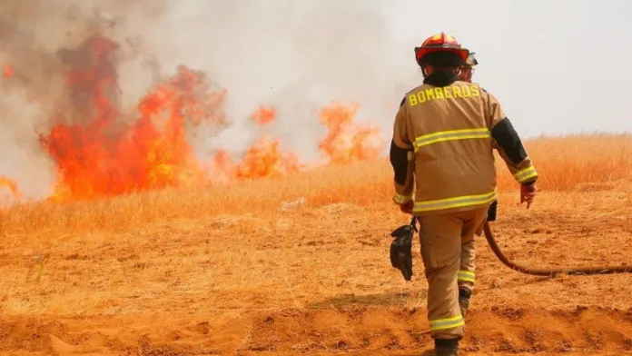 Alerta Amarilla en Chacabuco: 285 hectáreas afectadas por incendio forestal. Alerta Amarilla en Chacabuco: 285 hectáreas afectadas por incendio forestal.