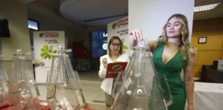 Descubre qué sucederá con los premios no cobrados de 'La Suerte en Chile'.