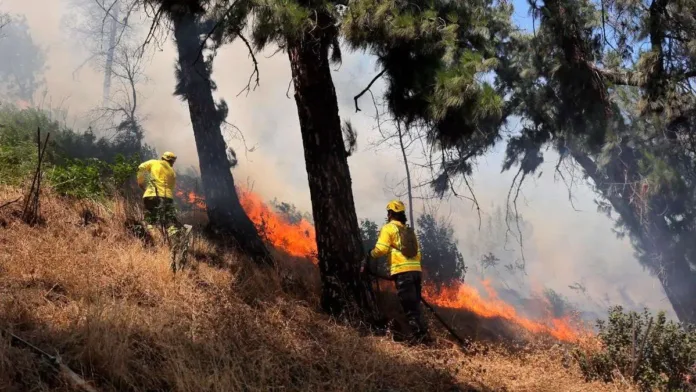 El Parque Metropolitano cierra accesos por incendio en el Cerro San Cristóbal. El Parque Metropolitano cierra accesos por incendio en el Cerro San Cristóbal.