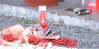 Dueño de casa arrestado tras disparar a ladrón en Isla de Maipo
