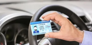 Gobierno amplía la validez de licencias vencidas. Infórmate sobre las nuevas fechas.