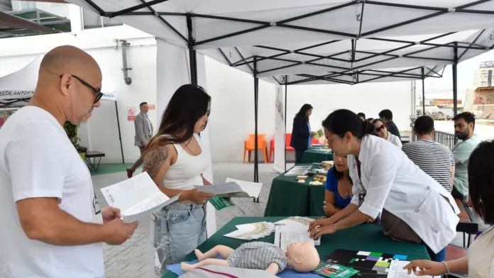 Consejos clave para una postulación universitaria exitosa en 2025. Consejos clave para una postulación universitaria exitosa en 2025.