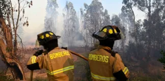 Incendios en Valparaíso: controlan llamas en Montedónico y Playa Ancha.