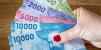 Bono Marzo 2025: Conoce las opciones de pago del Aporte Familiar Permanente.
