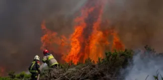 Gobernador del Biobío sugiere registro de pirómanos para combatir incendios forestales.