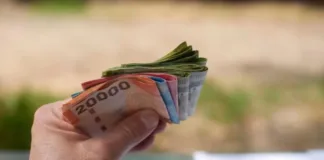 Bono Marzo 2025: Guía completa sobre el Aporte Familiar Permanente y sus beneficiarios.