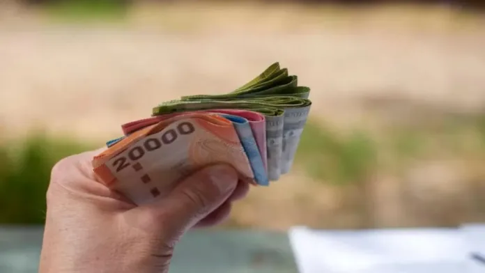 Bono Marzo 2025: Guía completa sobre el Aporte Familiar Permanente y sus beneficiarios. Bono Marzo 2025: Guía completa sobre el Aporte Familiar Permanente y sus beneficiarios.