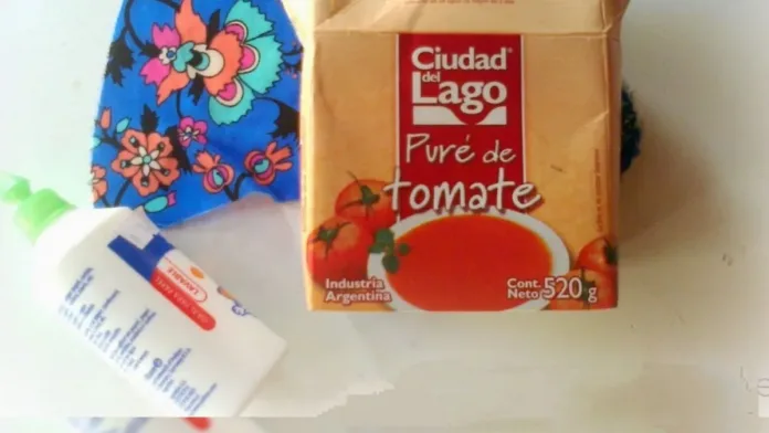 Transforma un tetrapak en una hermosa maceta colgante para tus suculentas. Transforma un tetrapak en una hermosa maceta colgante para tus suculentas.