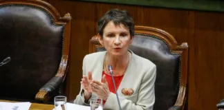 PPD propone a Carolina Tohá como candidata presidencial del Socialismo Democrático.