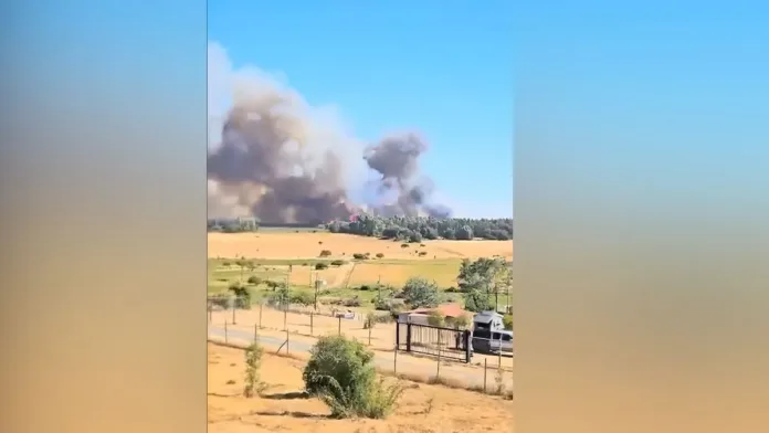 Alerta roja en Chillán Viejo: incendio forestal consume seis hectáreas. Alerta roja en Chillán Viejo: incendio forestal consume seis hectáreas.