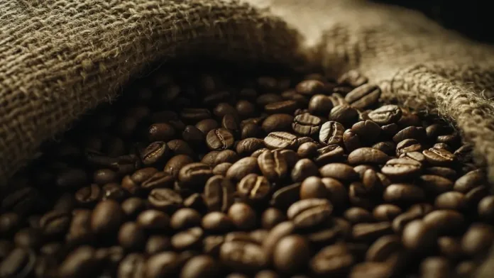 Consejos para almacenar café y preservar su frescura y sabor. Consejos para almacenar café y preservar su frescura y sabor.