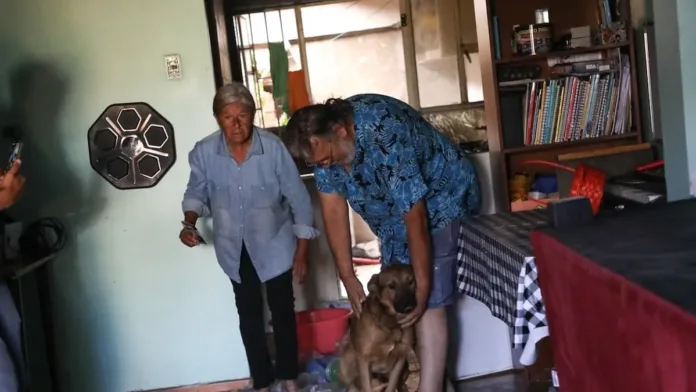 La Florida rescata a un perrito abandonado tras denuncias vecinales. ¡Adóptalo! La Florida rescata a un perrito abandonado tras denuncias vecinales. ¡Adóptalo!