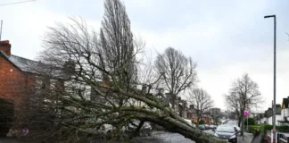 Tormenta Eowyn causa estragos en Irlanda y Escocia: un muerto y cortes de luz.