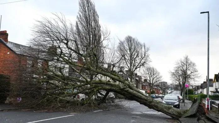 Tormenta Eowyn causa estragos en Irlanda y Escocia: un muerto y cortes de luz. Tormenta Eowyn causa estragos en Irlanda y Escocia: un muerto y cortes de luz.