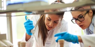 Aumento de patentes en 2024: crece interés por proteger inventos chilenos.
