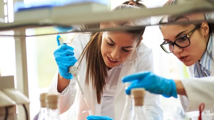 Aumento de patentes en 2024: crece interés por proteger inventos chilenos. Aumento de patentes en 2024: crece interés por proteger inventos chilenos.