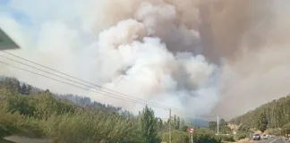 Tres brigadistas fallecen luchando contra incendios en Los Sauces.