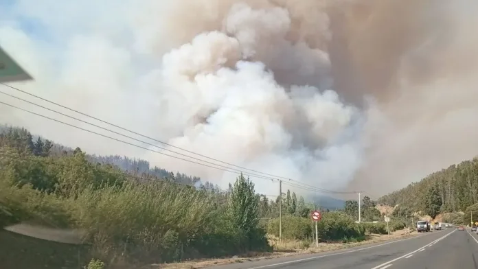 Tres brigadistas fallecen luchando contra incendios en Los Sauces. Tres brigadistas fallecen luchando contra incendios en Los Sauces.