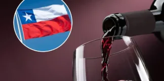 El único vino chileno destacado por el NY Times: calidad excepcional por menos de $20 mil.