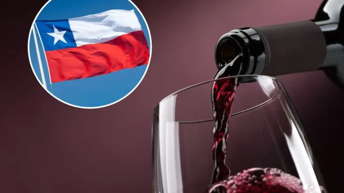 El único vino chileno destacado por el NY Times: calidad excepcional por menos de $20 mil. El único vino chileno destacado por el NY Times: calidad excepcional por menos de $20 mil.