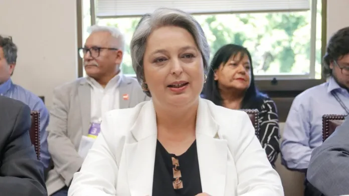 La ministra Jara defiende la reforma de pensiones ante críticas de aseguradoras estadounidenses. La ministra Jara defiende la reforma de pensiones ante críticas de aseguradoras estadounidenses.