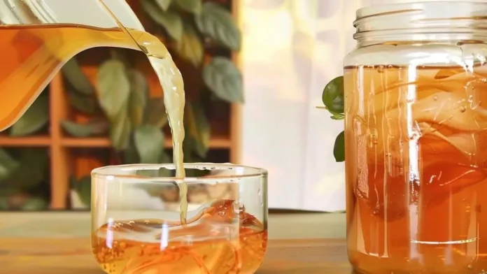 Kombucha: de bebida milenaria a esencial en la salud global. Kombucha: de bebida milenaria a esencial en la salud global.