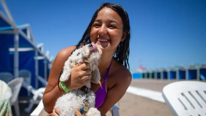 Mar del Plata: el destino ideal para disfrutar del verano con tu perro. Mar del Plata: el destino ideal para disfrutar del verano con tu perro.