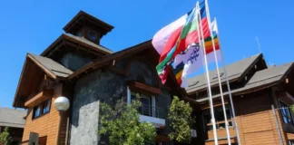 Concejalas de Pucón con antecedentes cuestionan al Administrador Municipal.