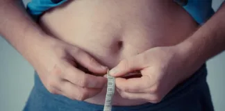 Descubren proteína esencial para quemar grasa y combatir la obesidad.