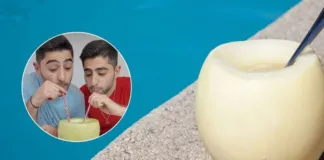 Influencers internacionales disfrutan del melón con vino chileno