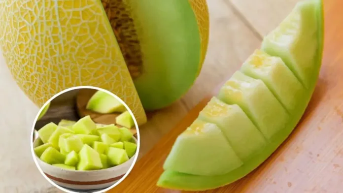 Descubre el arte de elegir el melón ideal en ferias este verano 2025. Descubre el arte de elegir el melón ideal en ferias este verano 2025.