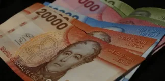Aumento de la Pensión Garantizada Universal a $224.004 desde febrero 2025.