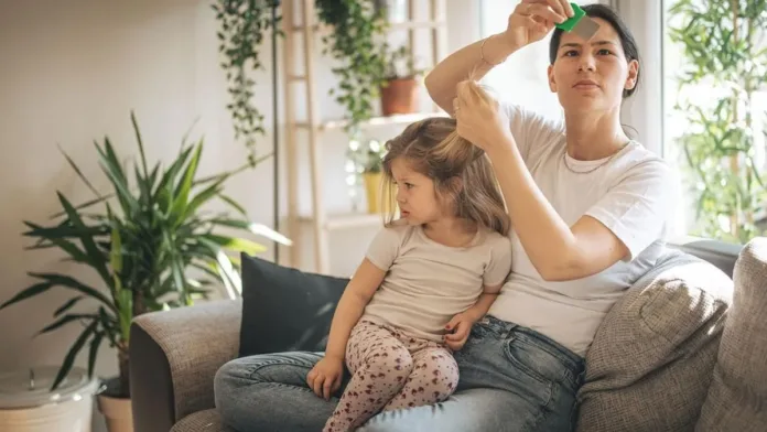 Descubre todo sobre piojos y liendres: vida Descubre todo sobre piojos y liendres: vida