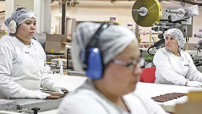Economistas advierten sobre el impacto negativo de la mayor cotización en el empleo. Economistas advierten sobre el impacto negativo de la mayor cotización en el empleo.