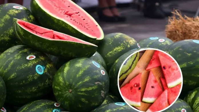Descubre cómo seleccionar la sandía ideal este verano 2025 en ferias y supermercados. Descubre cómo seleccionar la sandía ideal este verano 2025 en ferias y supermercados.