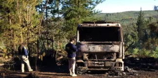 Nuevo ataque en La Araucanía: encapuchados queman cuatro camiones y amenazan con armas.
