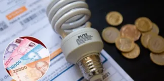 Subsidio Eléctrico: Abren postulaciones para el tercer llamado en abril 2025.