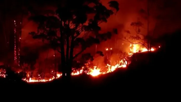 Detenido por incendio en Talagante tras autodenuncia por uso de galletera. Detenido por incendio en Talagante tras autodenuncia por uso de galletera.