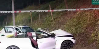 Conductor argentino culpable por colisión fatal en Zapallar: no cedió el paso.